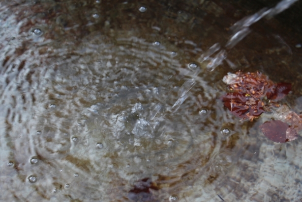 Frosch Brunnen